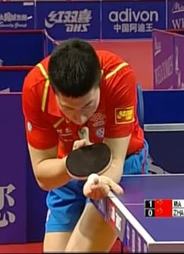 化的传承 化的传承