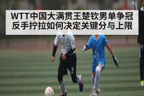 WTT中国大满贯王楚钦男单争冠 反手拧拉如何决定关键分与上限 | sports
