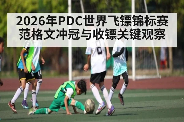2026年PDC世界飞镖锦标赛范格文冲冠与收镖关键观察 | cba